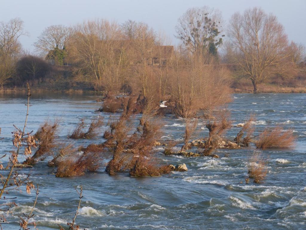 Logis Hotel Le Relais Louis XI Meung-sur-Loire Zewnętrze zdjęcie