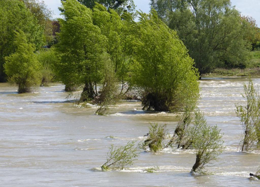 Logis Hotel Le Relais Louis XI Meung-sur-Loire Zewnętrze zdjęcie